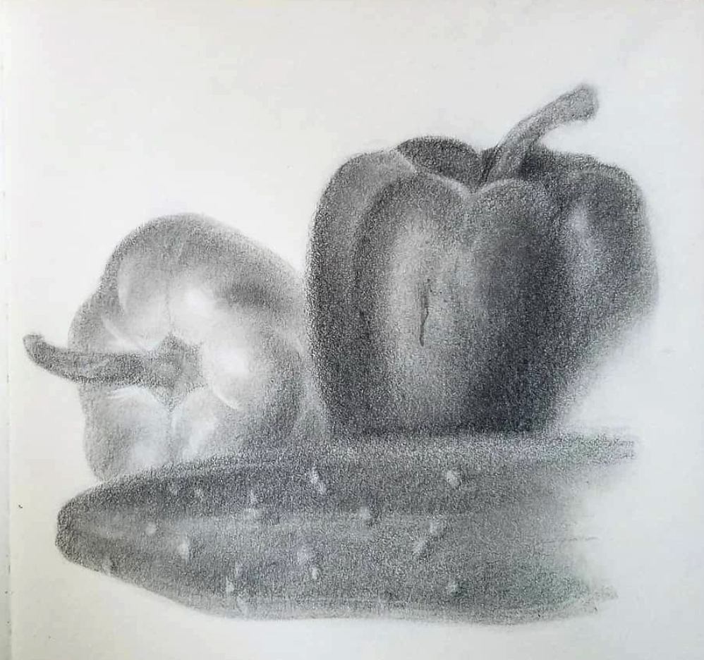 A realistic, graphite pencil sketch of two bell peppers and one cucumber.